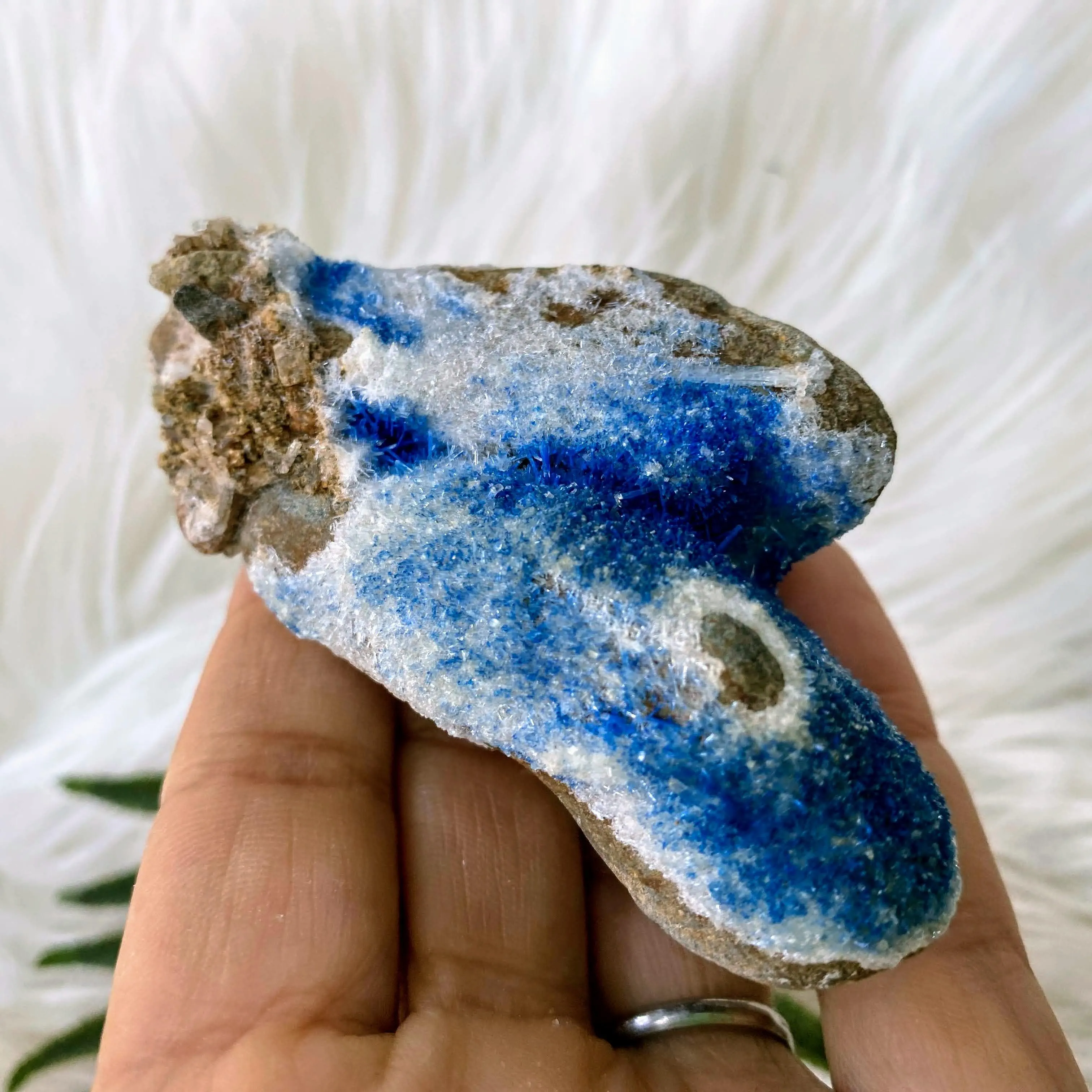 Very Rare Variety! Gemmy Dark Blue Azurite Druzy on Rock matrix from Mineral Creek, Arizona