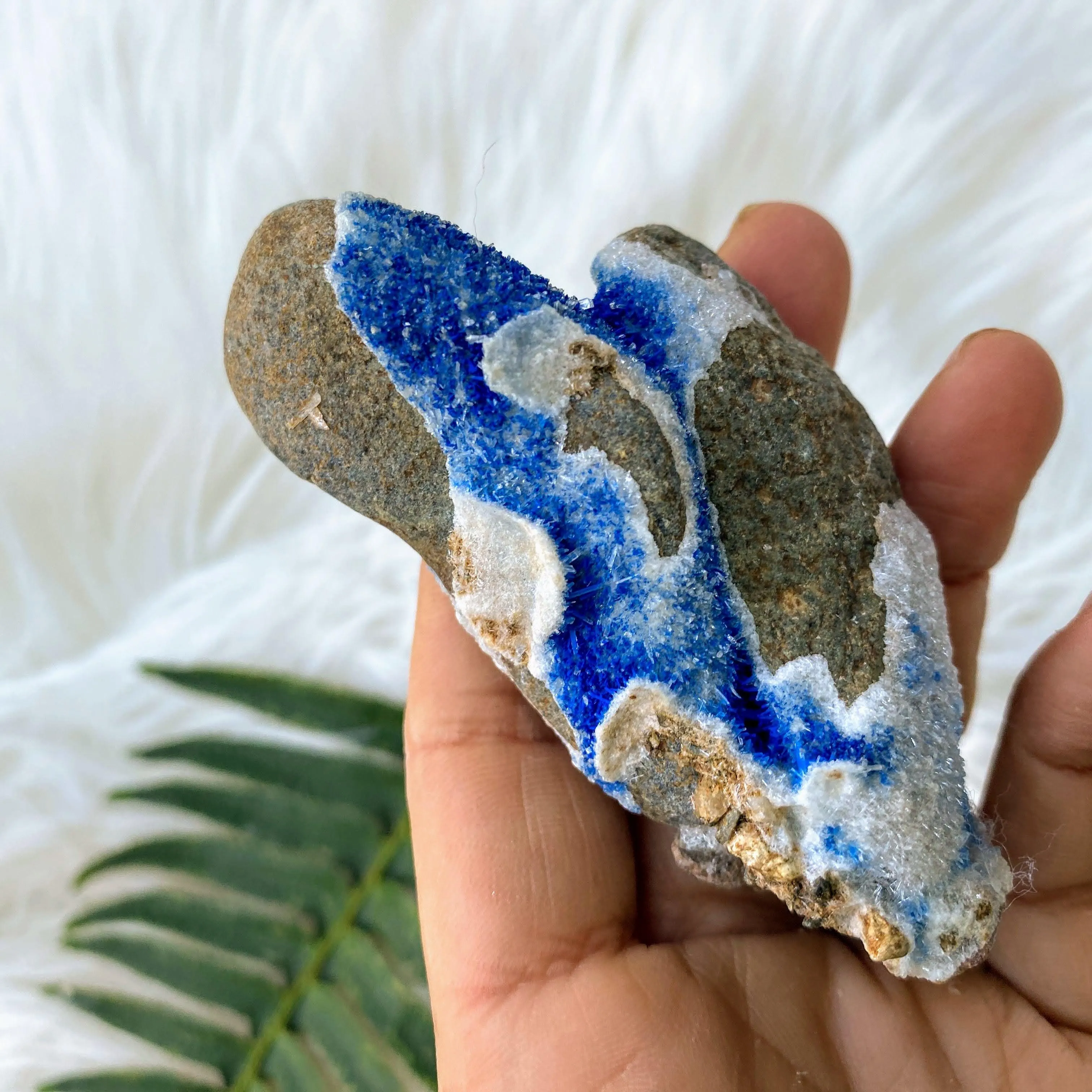 Very Rare Variety! Gemmy Dark Blue Azurite Druzy on Rock matrix from Mineral Creek, Arizona